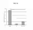 Fig. 12 - CERAMIC FILTER AND METHODS FOR MANUFACTURING AND USING SAME