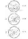 Fig. 06 - Sleeve, sub-assembly, vehicular suspension assembly and methods for forming/assembling the same