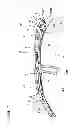 Fig. 02 - Curtain shield airbag mounting structure