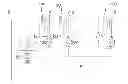Fig. 01 - Reactive power regulation
