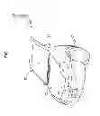 Fig. 02 - Vehicle hood structure