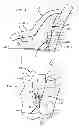 Fig. 05 - Child carrier restraint system