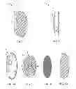 Fig. 02 - Electronic fitness device