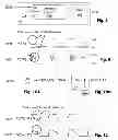 Fig. 06 - Boundary conduction mode switching regulator and driver circuit and control method thereof