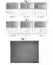 Fig. 06 - NdFeB system sintered magnet