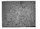 Fig. 01 - NdFeB system sintered magnet