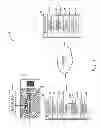 Fig. 02 - Mechanisms for authenticating the validity of an item