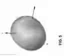 Fig. 06 - Antenna structures and methods for omni directional radiation patterns