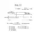 Fig. 49 - Shift register circuit, display panel, and electronic apparatus