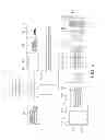 Fig. 06 - Foldable display and image processing method thereof