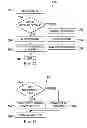 Fig. 16 - Method and system of producing 2D representations of 3D pain and stimulation maps and implant models on a clinician programmer