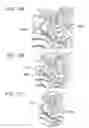 Fig. 11 - Nail print apparatus and print control method thereof for fitting first design and second design that is background of first design to nail