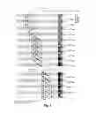 Fig. 05 - Inkjet recording device, inkjet recording method, and inkjet recording system