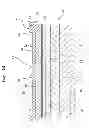 Fig. 10 - Liquid jetting apparatus, piezoelectric actuator, and method for producing the liquid jetting apparatus