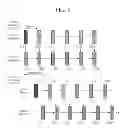 Fig. 07 - METHOD OF PROCESSING MULTI-VIEW IMAGE AND APPARATUS FOR EXECUTING THE SAME