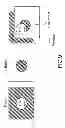 Fig. 07 - Enriched digital photographs
