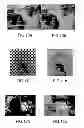 Fig. 08 - Enriched digital photographs