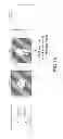 Fig. 09 - Enriched digital photographs