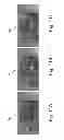 Fig. 13 - Virtual access control