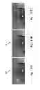 Fig. 15 - Virtual access control
