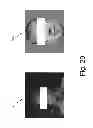 Fig. 22 - Virtual access control