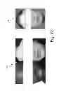 Fig. 24 - Virtual access control