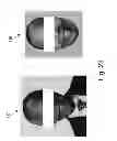 Fig. 25 - Virtual access control