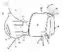 Fig. 01 - Side mirror assembly with stationary camera and telescoping mirror head