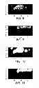 Fig. 06 - Method and system for automatically recognizing facial expressions via algorithmic periocular localization