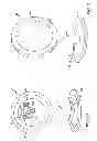 Fig. 05 - Mirror with operation for modifying visual perception