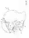 Fig. 09 - Mirror with operation for modifying visual perception