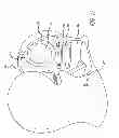 Fig. 10 - Mirror with operation for modifying visual perception