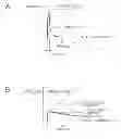 Fig. 01 - Imaging device and control method