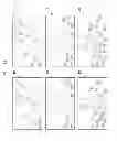 Fig. 05 - Camera device and image storage method