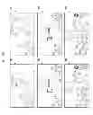 Fig. 09 - Camera device and image storage method