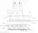 Fig. 01 - Sectional dynamic-driving backlight module and head-up display device thereof