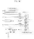 Fig. 06 - Liquid crystal lens panel, three dimensional panel assembly, and display apparatus having the same