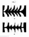 Fig. 08 - Liquid crystal display
