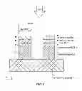 Fig. 02 - Polarizing element, projector and method of manufacturing polarizing element