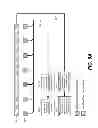 Fig. 07 - MULTI-RESOLUTION SEGMENTED IMAGE SENSOR