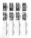 Fig. 07 - Nanophotonic scattering structure