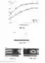 Fig. 19 - Nanophotonic scattering structure