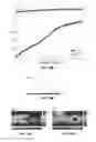 Fig. 22 - Nanophotonic scattering structure