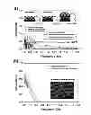 Fig. 06 - ELECTROMAGNETIC WAVE ABSORBER AND METHOD OF FABRICATING THE SAME