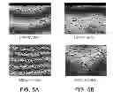 Fig. 06 - Multilayer ceramic electronic component having controlled difference in continuity between internal electrodes and method of manufacturing the same