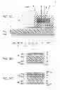 Fig. 03 - WIRING BOARD, LIGHT-EMITTING DEVICE, AND METHOD OF MANUFACTURING THE WIRING BOARD