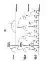 Fig. 02 - Semiconductor memory device and method of operating the same