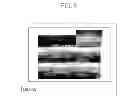 Fig. 09 - OBJECT INFORMATION ACQUISITION APPARATUS, DISPLAY METHOD, AND STORAGE MEDIUM