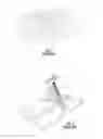 Fig. 02 - Downscan imaging sonar