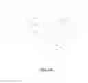 Fig. 08 - Downscan imaging sonar
